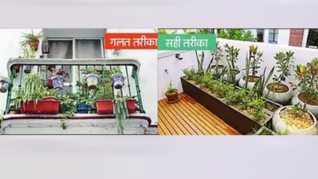 LDA new order for multistorey buildings if you keep flower pot balcony railing cost you dearly