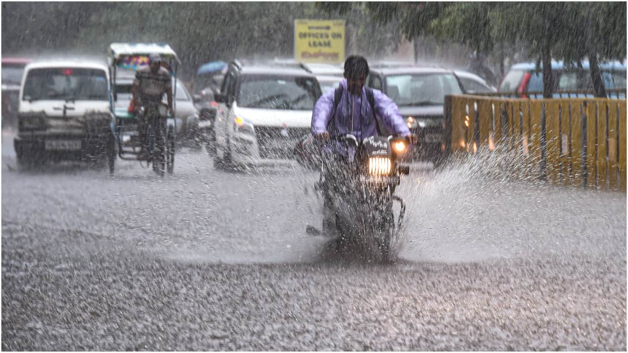 Monsoon Rains Bring Relief, But Agricultural Sector Still Faces Risks says Crisil