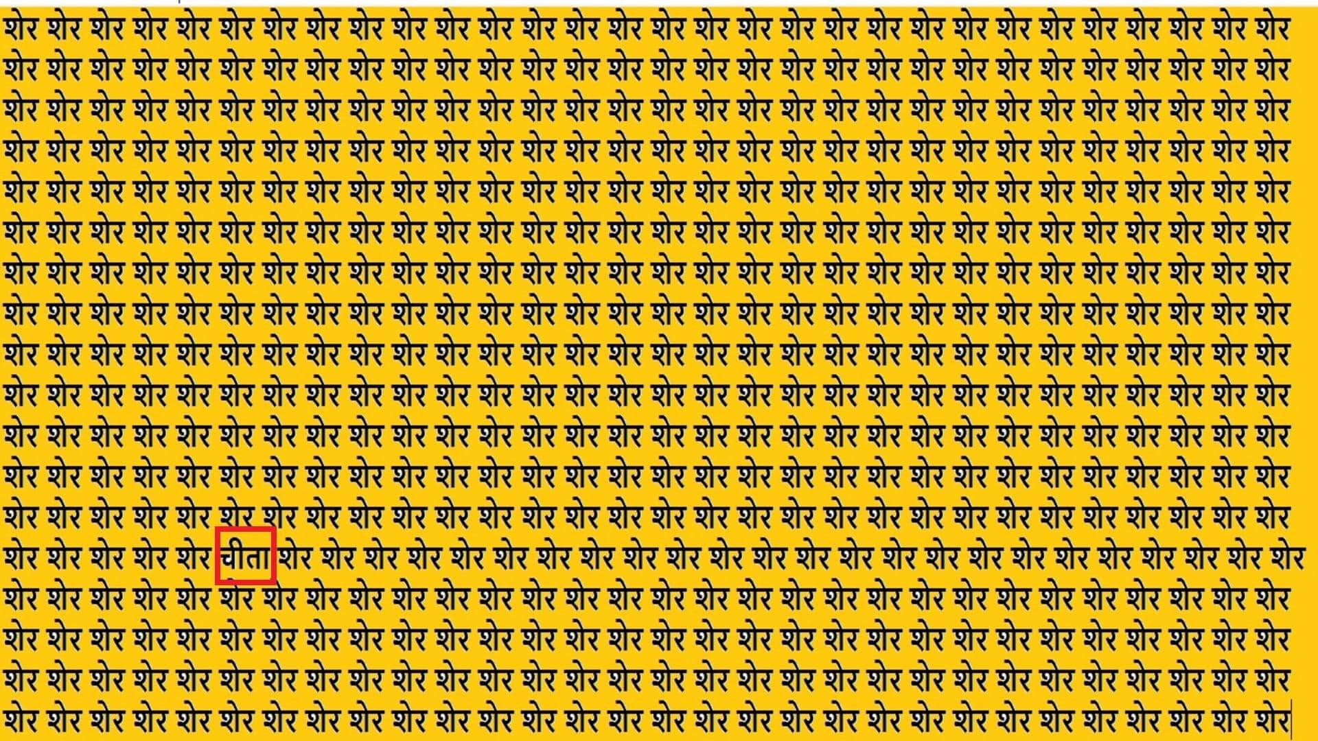 Optical Illusion IQ Test Brain Test If You Have Hawk Eyes Then Find Cheetah