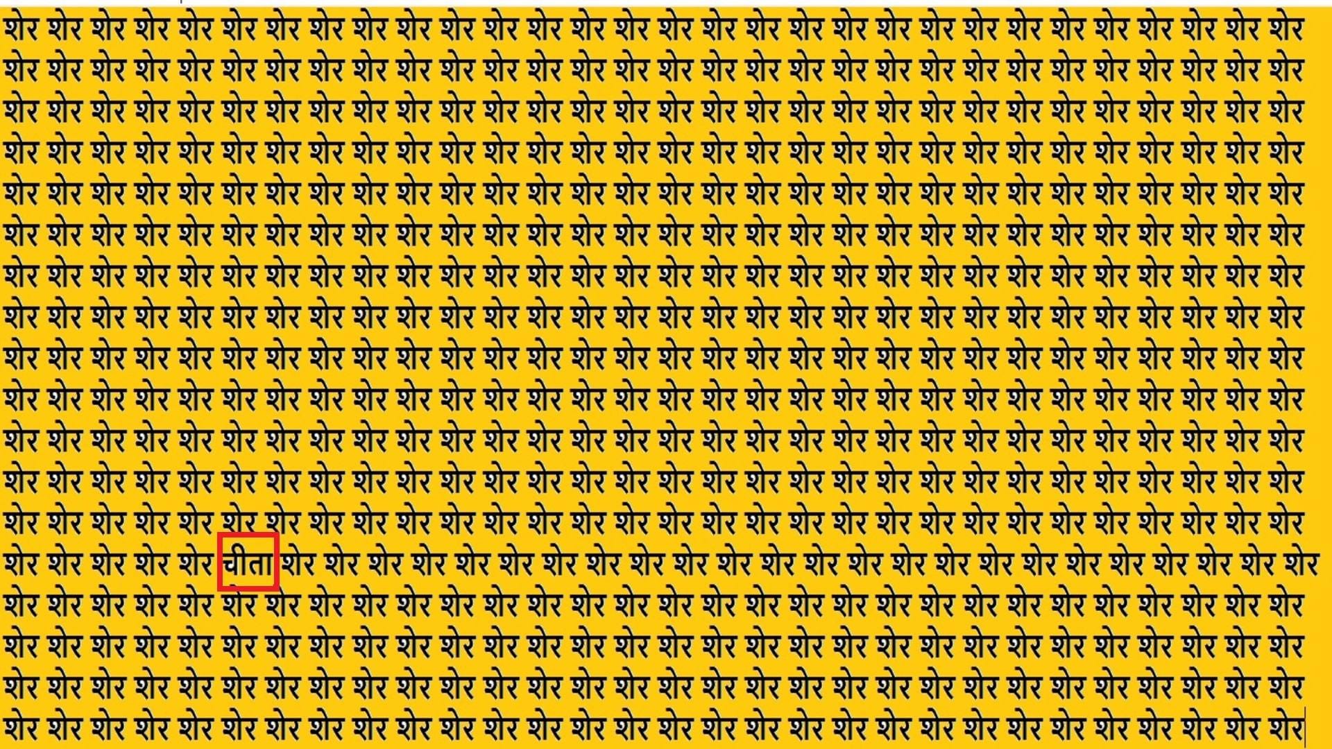 Optical Illusion IQ Test Brain Test If You Have Hawk Eyes Then Find Cheetah