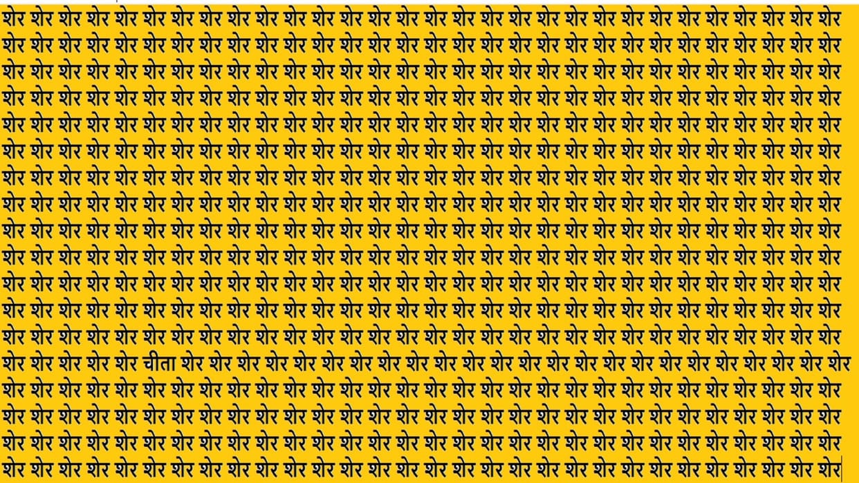 Optical Illusion IQ Test Brain Test If You Have Hawk Eyes Then Find Cheetah