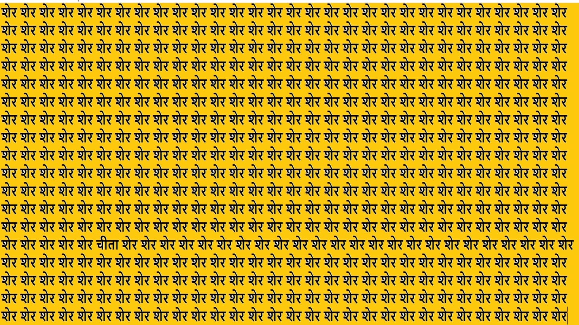 Optical Illusion IQ Test Brain Test If You Have Hawk Eyes Then Find Cheetah