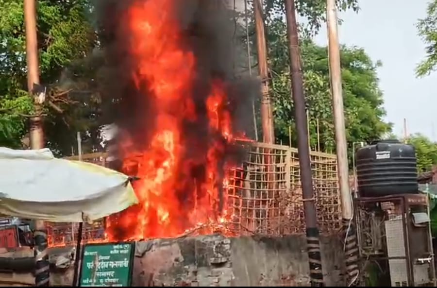 Transformer caught fire due to monkey antics two monkeys died