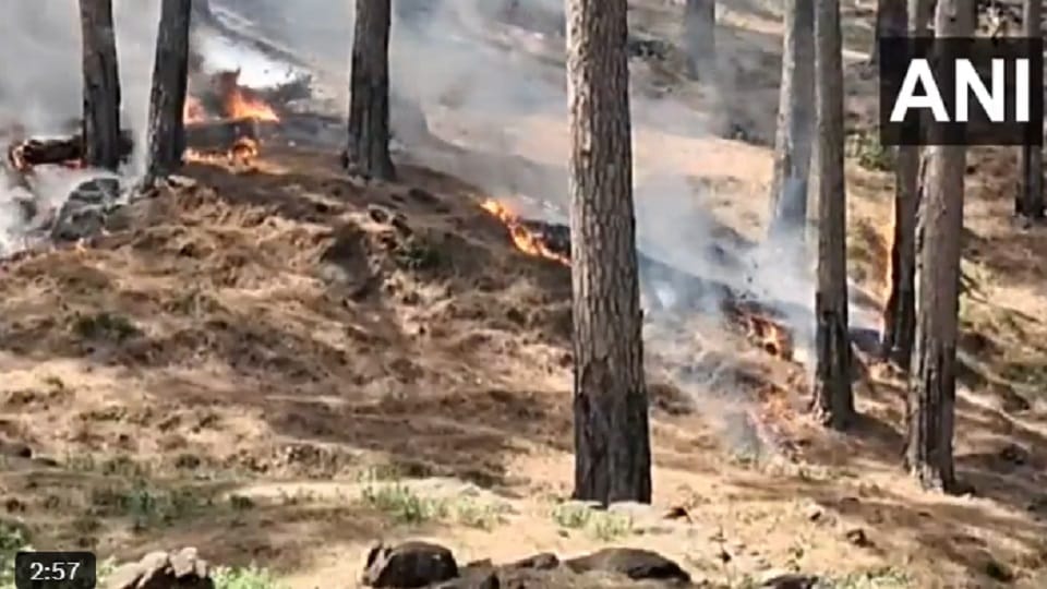 Jammu: Massive fire breaks out in Rajori forest, efforts underway to extinguish it
