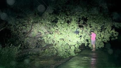 Meerut: Tree fell due to storm, young man died after being buried for three hours, innocent son kept crying he