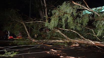 Bijnor: Constable's bike collided with a tree that fell on the road due to the storm, death