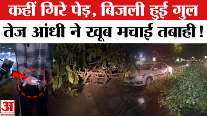 Delhi-NCR Rain: Trees fell at many places amid rain and hailstorm, power supply disrupted! See photos