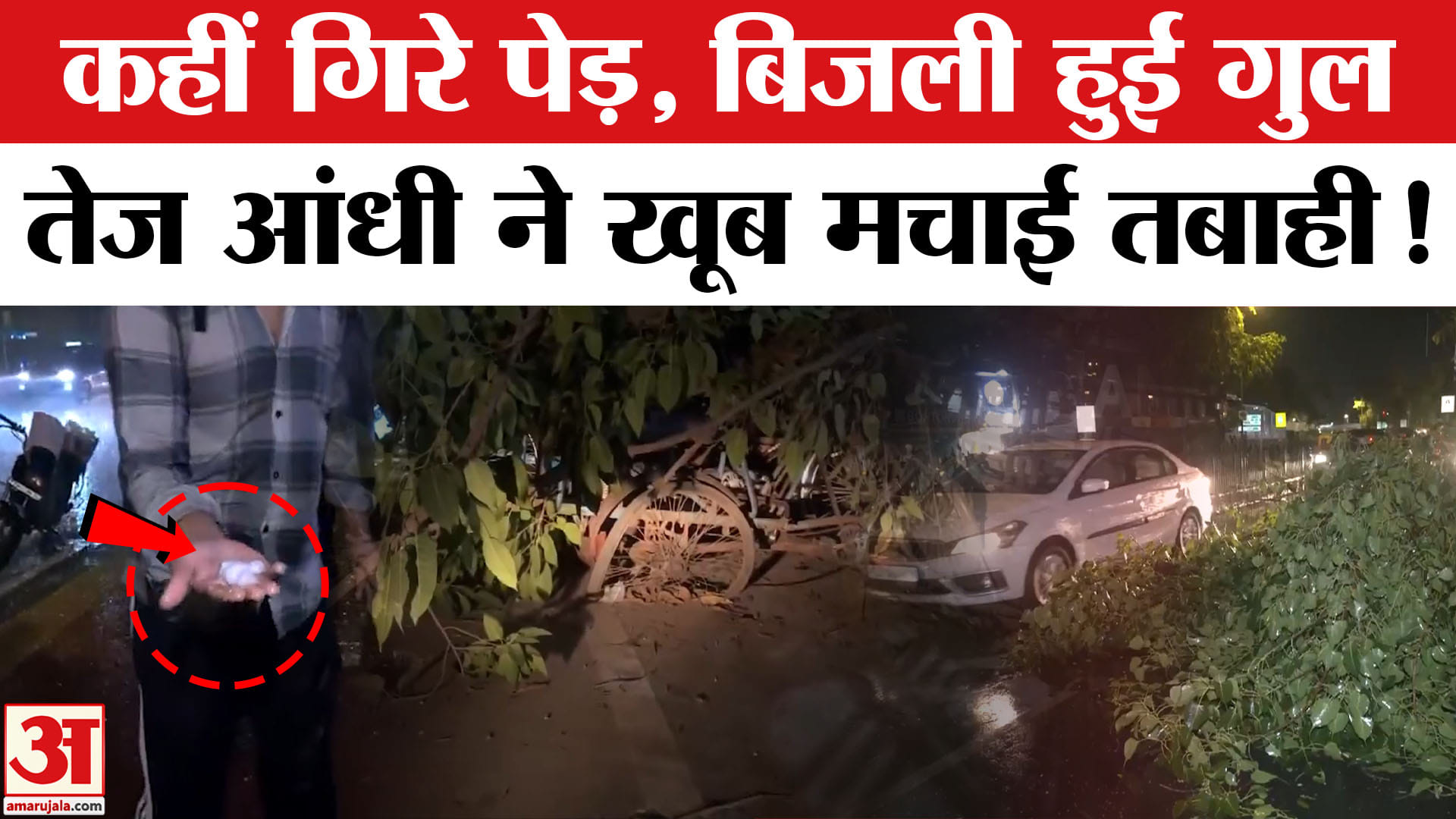 Delhi-NCR Rain: बारिश और ओलावृष्टि के बीच कई जगह  गिरे पेड़, बिजली आपूर्ति हुई बाधित! देखें तस्वीरें