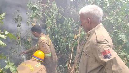 Kanpur: LPG cylinder in Gwaltoli and forest in NRI City caught fire