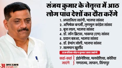 जेडीयू सांसद संजय कुमार झा