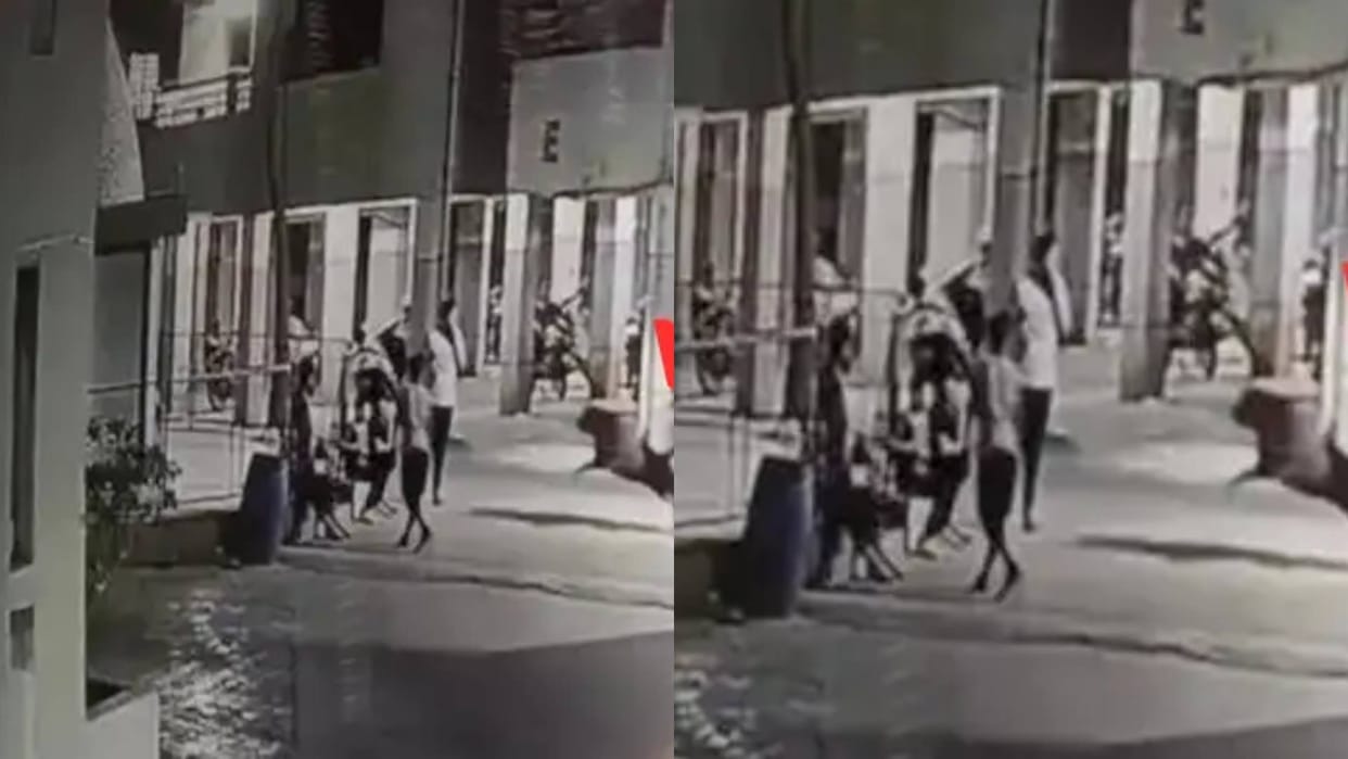 A Rottweiler dog scratched four month old girl she died as soon as she was taken to hospital video viral