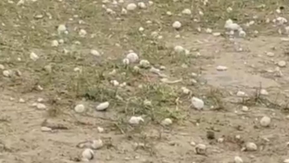 ओलावृष्टि