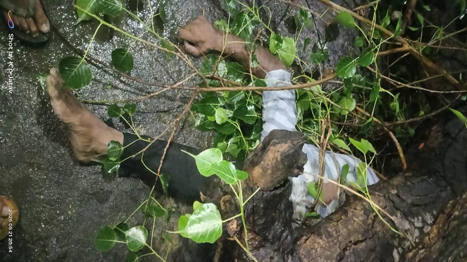 Meerut: Tree fell due to storm, young man died after being buried for three hours, innocent son kept crying he
