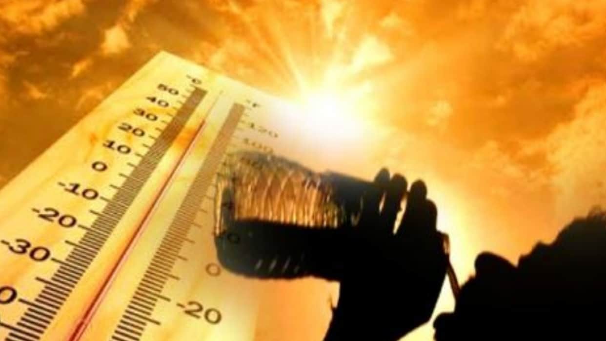 Rajasthan News: Beware of the Heat! Dehydration Increasing Risk of Brain Hemorrhage and Kidney Failure