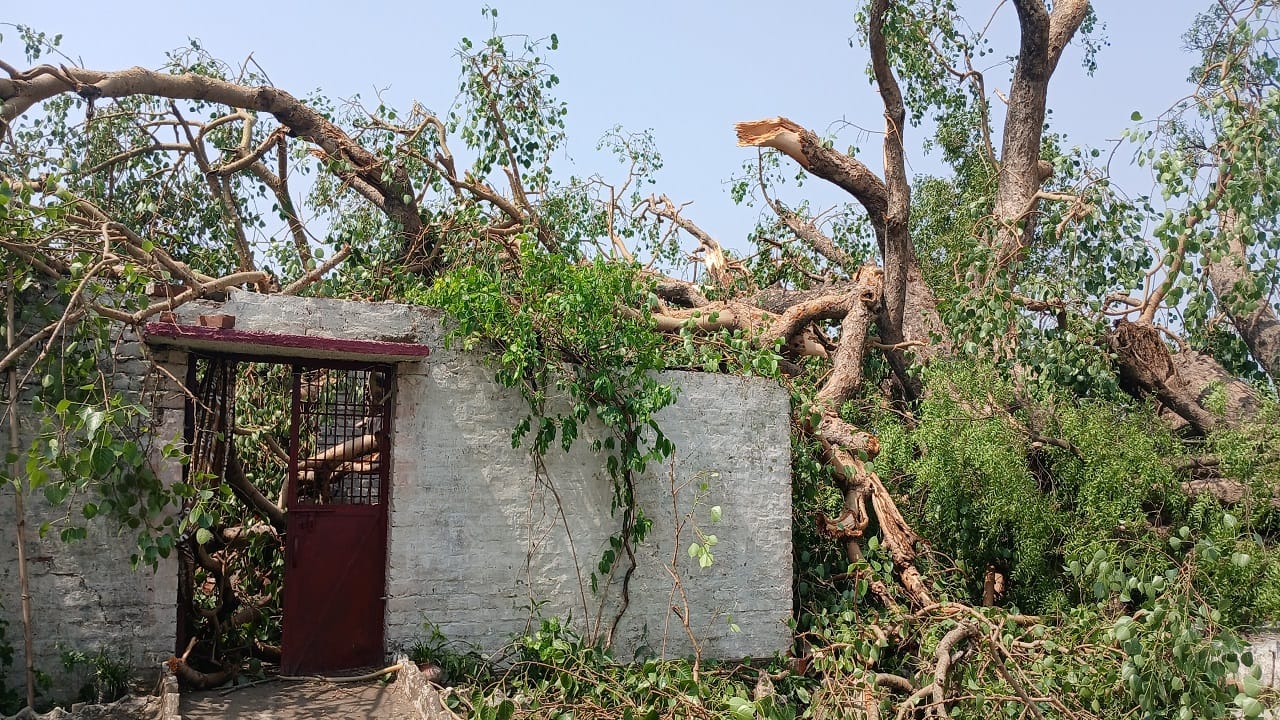 Storm wreaks havoc in Lakhimpur Kheri three people including father and daughter died