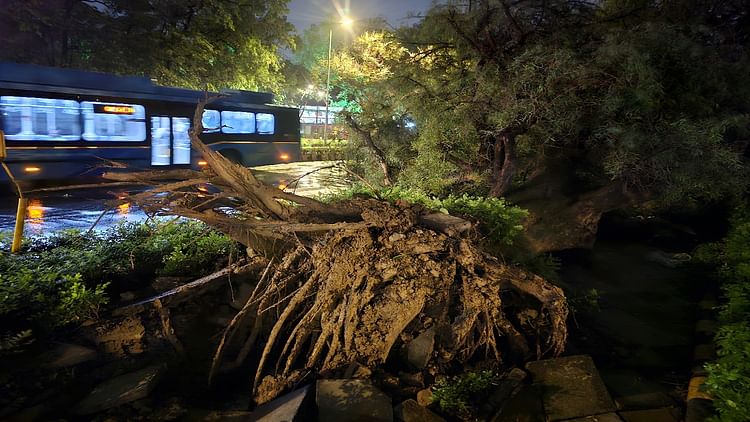 See In Pictures Havoc Caused By Rain In Delhi Ncr – Amar Ujala Hindi News Live
