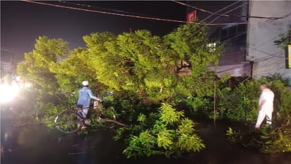 Storm and Rain Havoc in UP 19 Dead Hundreds of Trees Uprooted Across Eastern and Western Districts