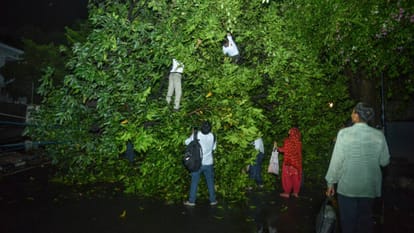 After heavy power supply disrupted in many areas storm and rain in Delhi-NCR