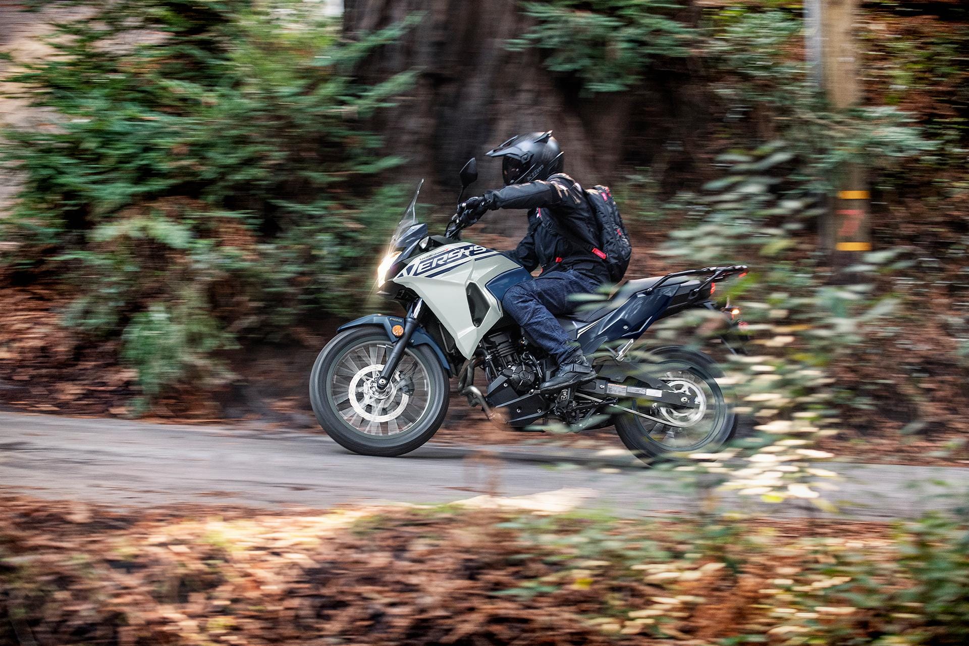 2025 Kawasaki Versys-X 300 Adventure Motorcycle Launched in India Know Price Features Specifications