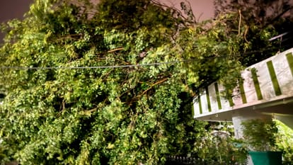 Storm and rain: Two including a doctor dead, 8 injured, hundreds of trees fell-traffic disrupted, Namo Bharat