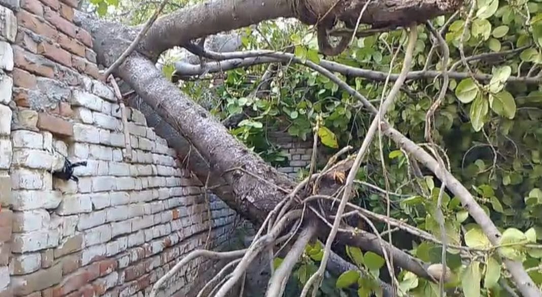 Six killed and more than 20 injured due to storm and fierce fire broke out at lahara in kasganj