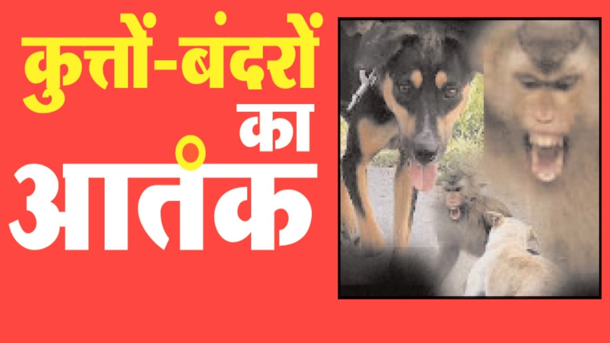 shimla: School girl attacked by dogs, bitten 11 people in one day