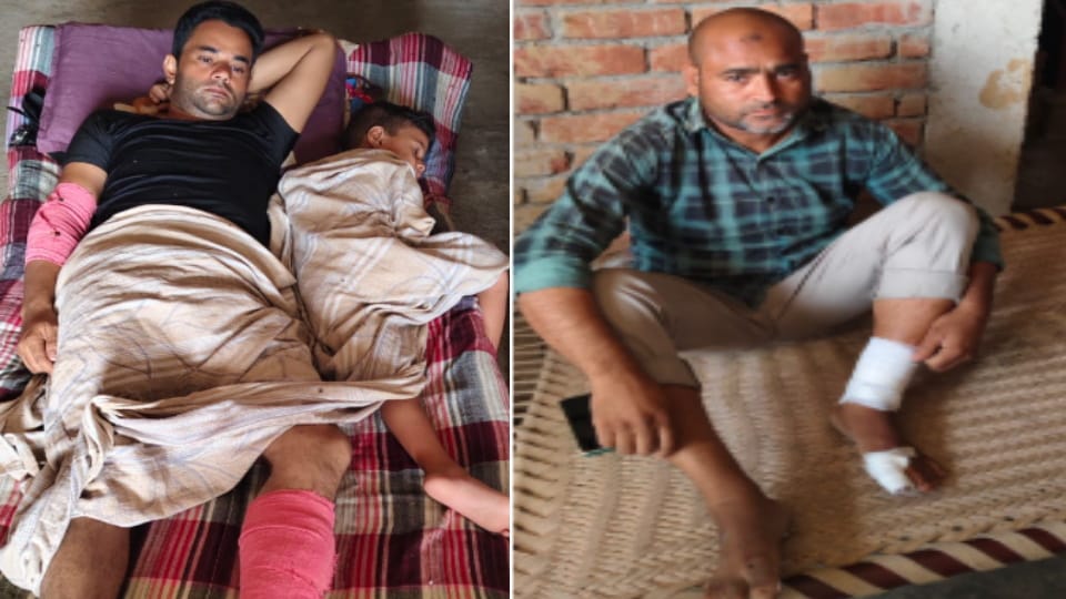 Meerut: Roof Collapses During Storm in Meerut, Five Injured Including Three Women