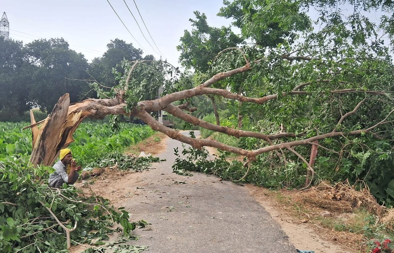 Six killed and more than 20 injured due to storm and fierce fire broke out at lahara in kasganj