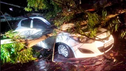 Storm and rain: Two including a doctor dead, 8 injured, hundreds of trees fell-traffic disrupted, Namo Bharat