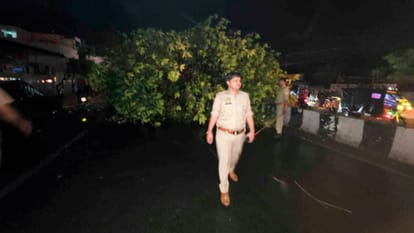 Storm and rain: Two including a doctor dead, 8 injured, hundreds of trees fell-traffic disrupted, Namo Bharat