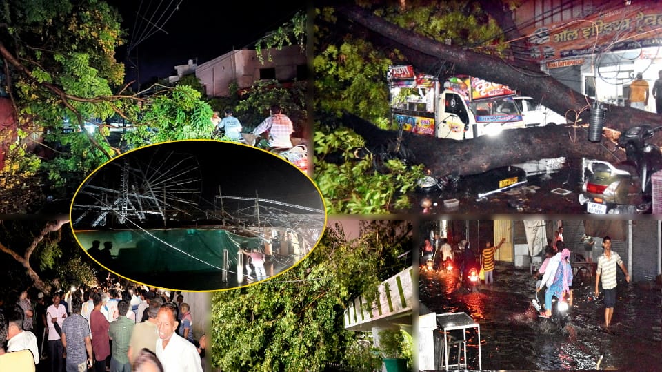 Storm and rain: Two including a doctor dead, 8 injured, hundreds of trees fell-traffic disrupted, Namo Bharat