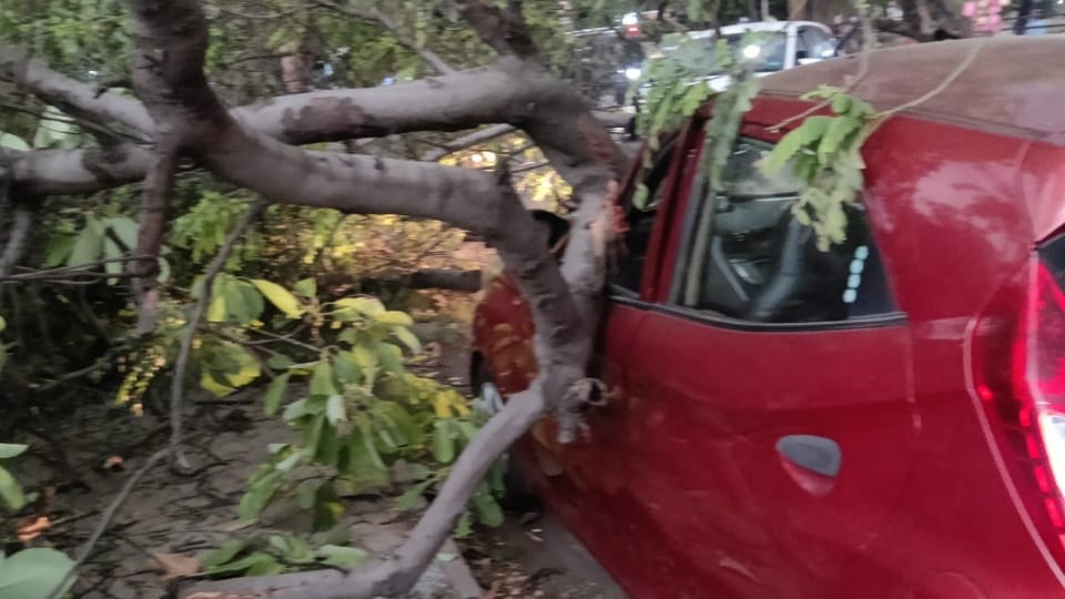 Heavy rain hailstorm and Thunderstorm in Chandigarh weather news see photos