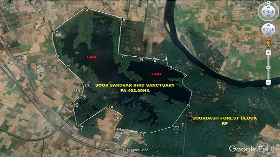 Supreme Court Seeks Reply From UP Government on Removal of Vilayati Babul in Soor Sarovar