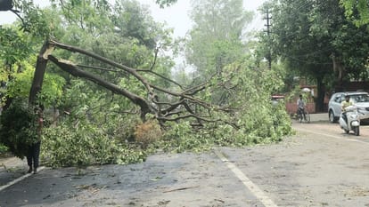 Meerut: There was a loss of Rs 138 crore in the city due to storm and rain