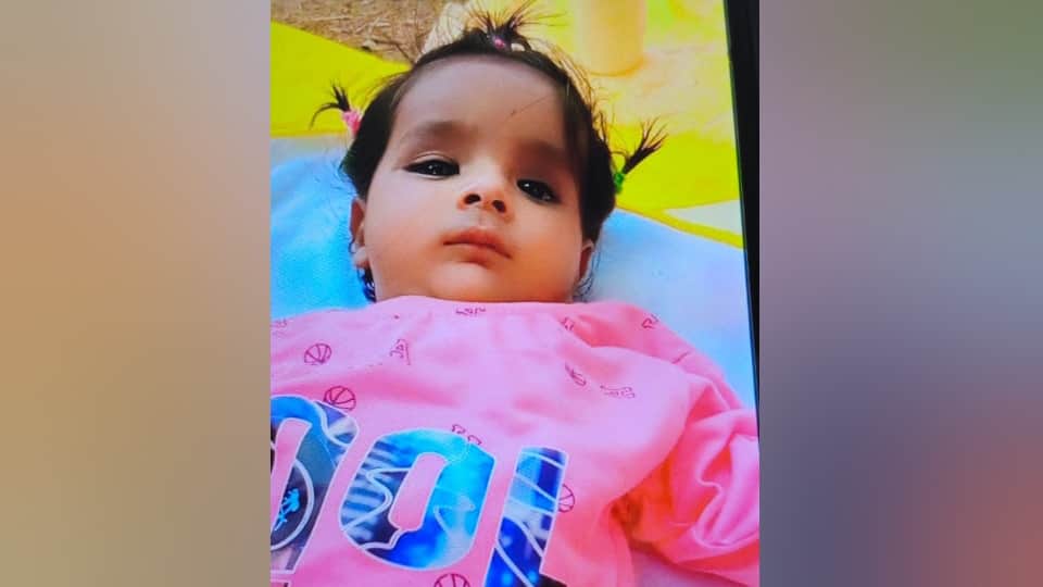 auto rickshaw driver and two innocent children died in a collision with an unknown vehicle in Shahjahanpur