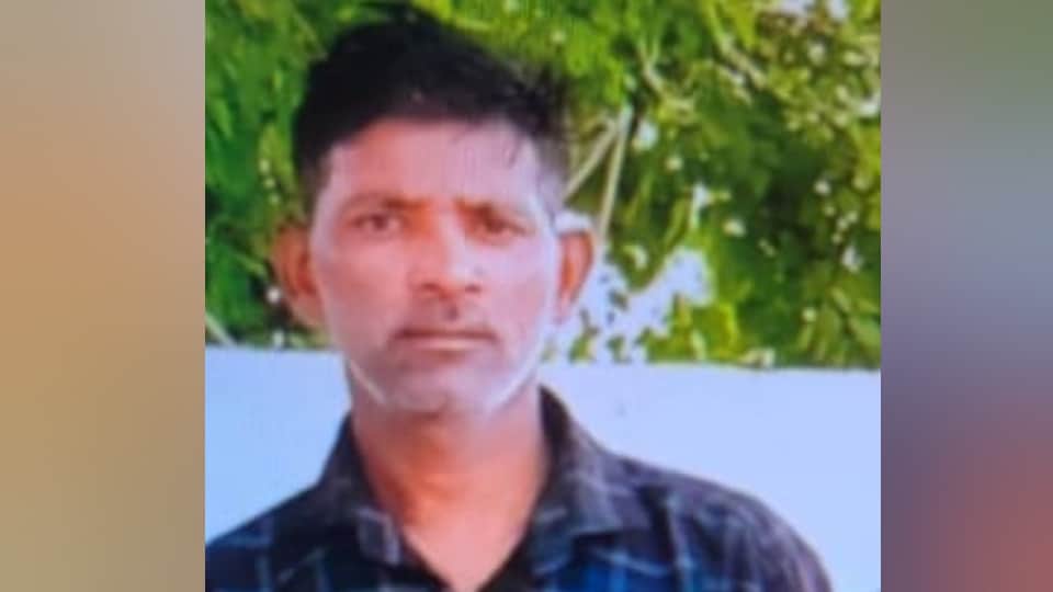 auto rickshaw driver and two innocent children died in a collision with an unknown vehicle in Shahjahanpur