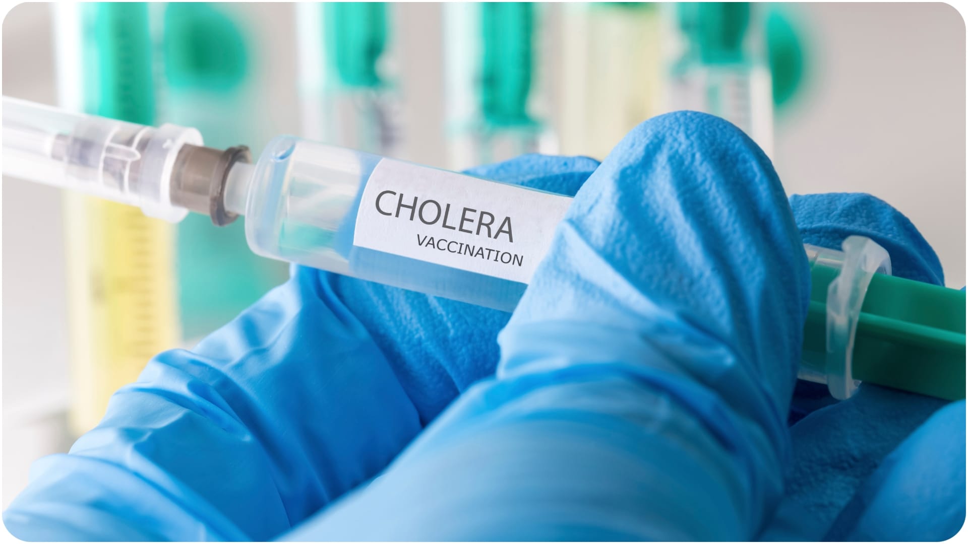 cholera in india risk and prevention Bharat Biotech cholera vaccine showed good results