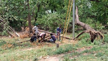 Meerut: 150 pillars in the city, more than 1500 in the countryside broken due to storm and rain, power cut