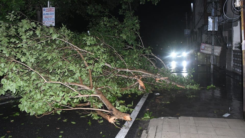 Weather pictures from Moradabad: Trees fell in storm and rain, wires broke, power supply disrupted
