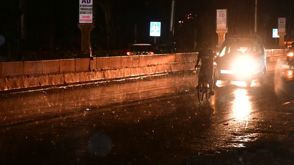 Weather pictures from Moradabad: Trees fell in storm and rain, wires broke, power supply disrupted