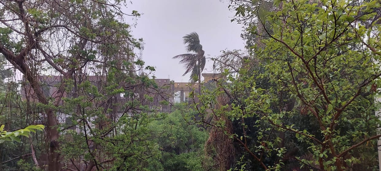 UP Weather Winds and rain end heat wave conditions drizzle warning in 65 districts Know your district Update