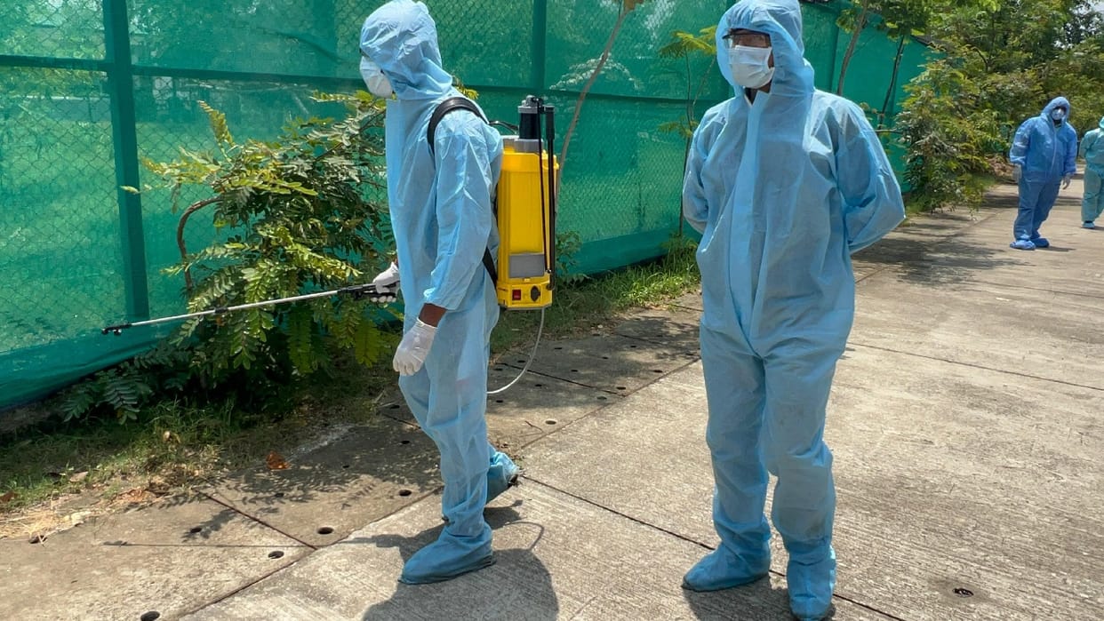 Bird Flu Infection spread by crows confirmed in Bhopal report