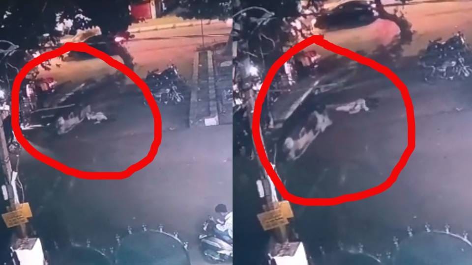 girl jumped from an e-rickshaw to escape molestation in Lucknow see video four accused sent to jail