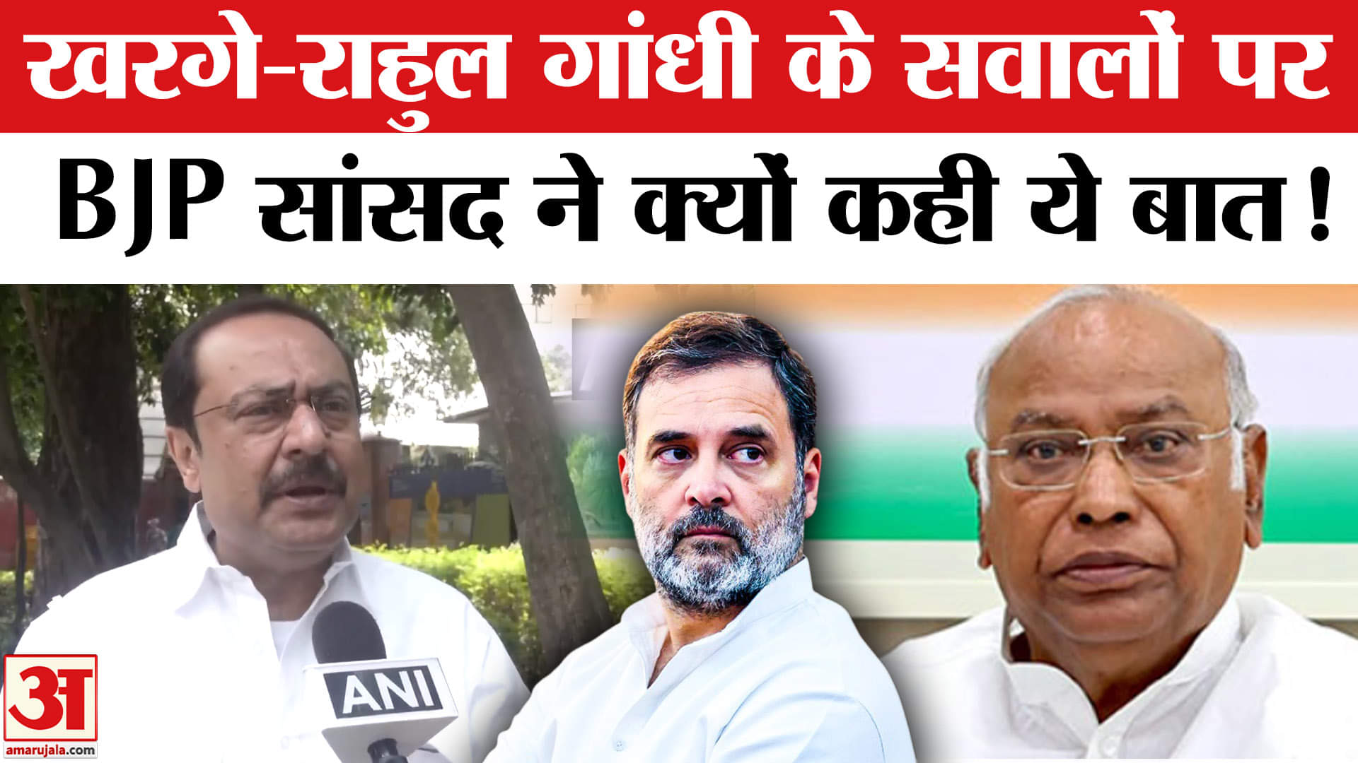 India's All Party Delegation: खरगे- राहुल के सवालों पर भड़के BJP सांसद ने जमकर लगाई क्लास कही ये बात