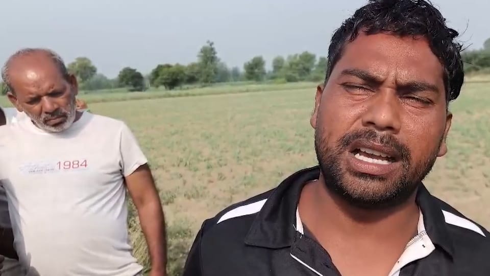 Wood Contractor Found Hanging from Tree in Shamli, Suicide Suspected