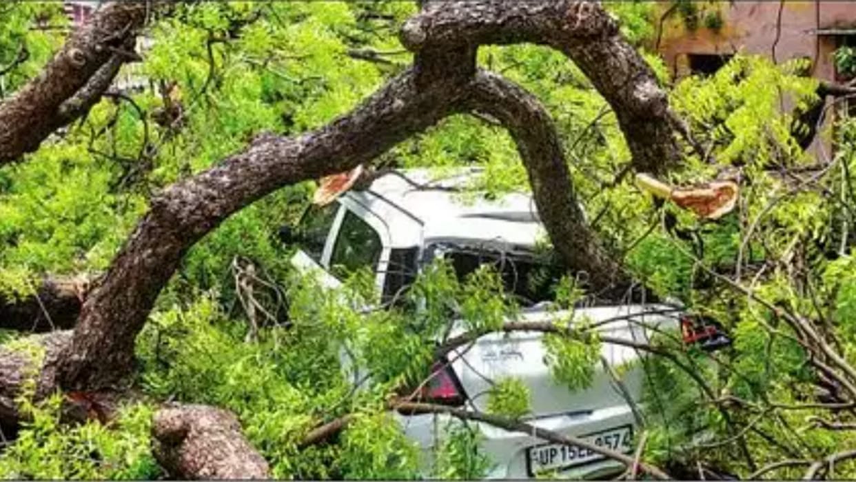 Storm and rain wreak havoc in UP, 51 people dead, trees uprooted, power supply affected due to falling poles