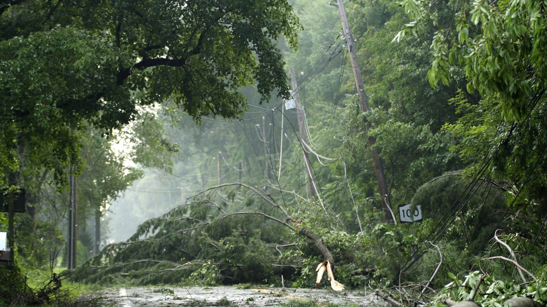 Broken Electricity Wire or Pole Fallen in Rain? How to File Urgent Complaint for Immediate Power Cut