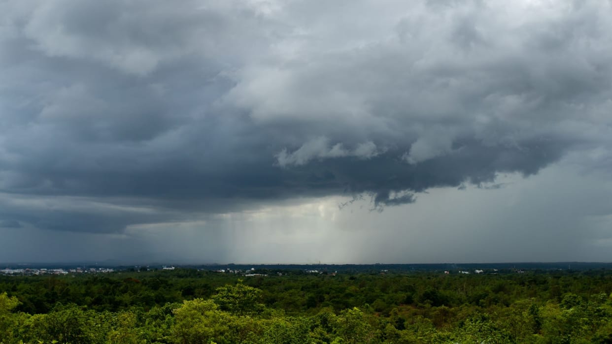 Foods To Avoid in Monsoon Avoid These 4 Healthy Foods During Monsoon to Prevent Health Risks