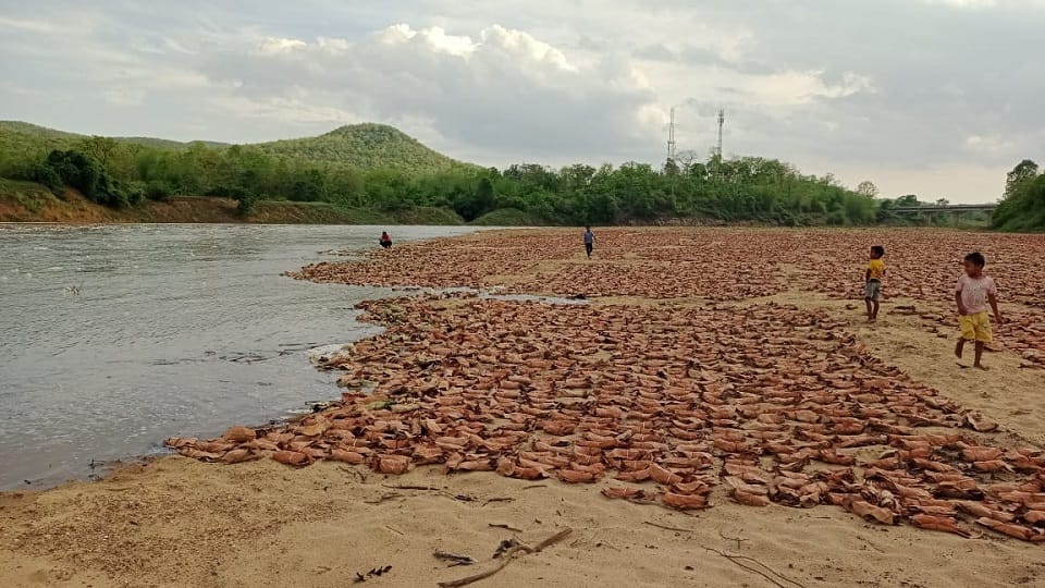 बारिश में बह गया हरा सोना