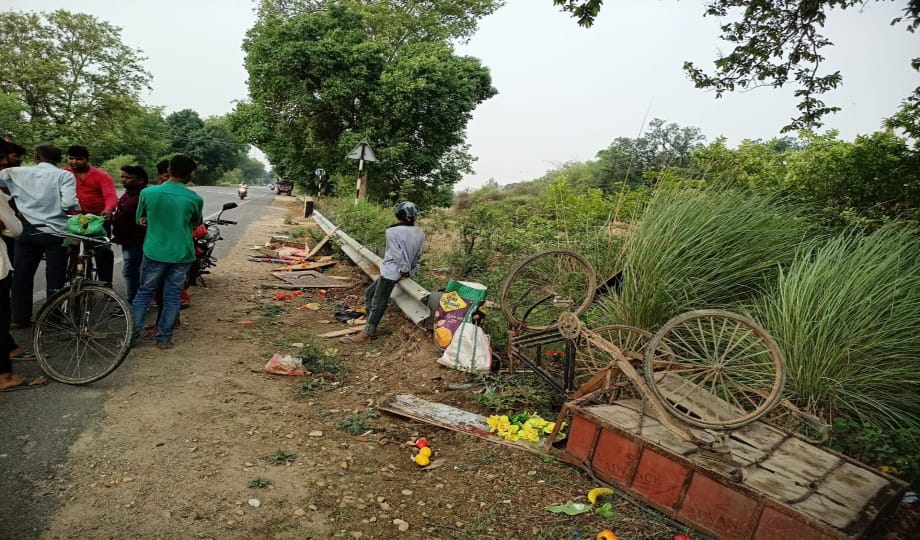 Truck hits rickshaw trolley, woman dies, father and son injured